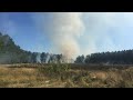 Grote brand in bos Schinveld: meerdere brandhaarden