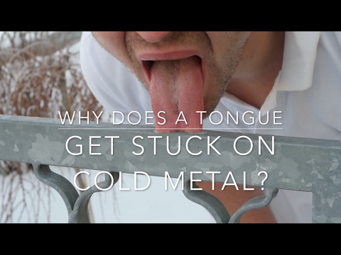 Why does a tongue get stuck on cold metal?