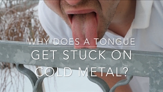 Why does a tongue get stuck on cold metal?