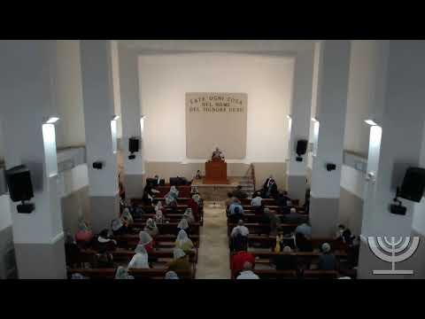 2020-05-31 Domenica Sera - Fr Gemelli - Fr Caccioppo - Marco cap 14 ver 3