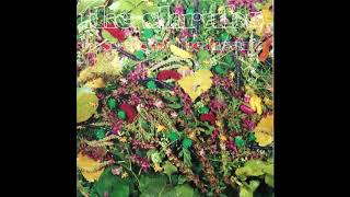 Music video thumbnail preview for John Peel's Shrubs - Papa Chaperon by The Shrubs
