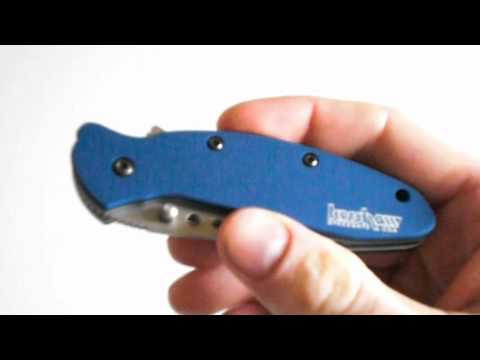 Kershaw Scallion 1620BL