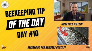 Beekeeping Tip Of The Day, Day 10: Feeders Are A Death Trap!