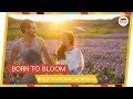 Born to Bloom 