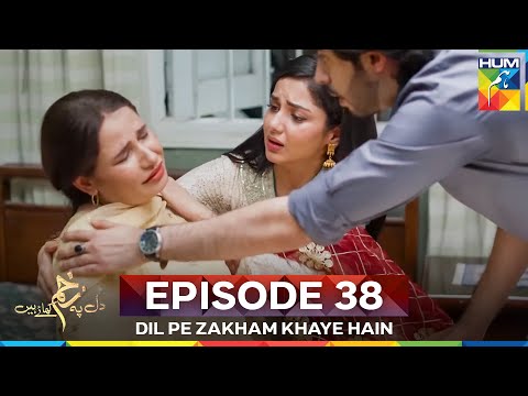 Dil Pe Zakham Khaye Hain 38