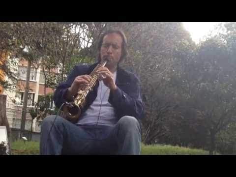 Saxofonista en Bogotá - CAMILLO - Si tú no vuelves.