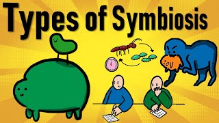 Symbiotic Relationships - Mutualism, Commensalism, Parasitism, Predation, Competition II Symbiosis