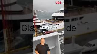 Shark Attack, Collision, Possible Cruise Ban!  #cruisenews  #cruiseship  #cruiselines