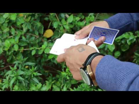 Magic Encarta Presents WINGS by Vivek Singhi