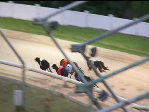 2017 CORAL LADIES TROPHY FINAL - T4 INISLOSKY MULL