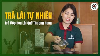 Cách Pha Trà Hoa Lài Tự Nhiên