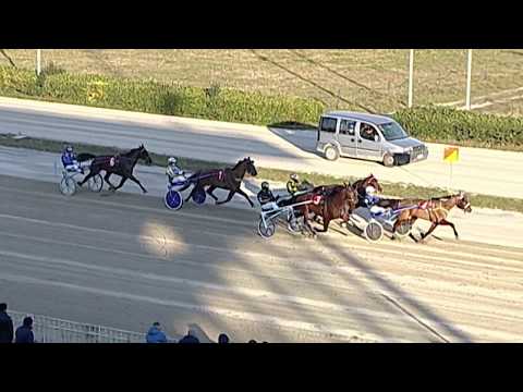 Aversa trotto 11 Gennaio 2020 - 2° Corsa