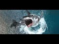 2025 Armageddon Mega Shark Screentime