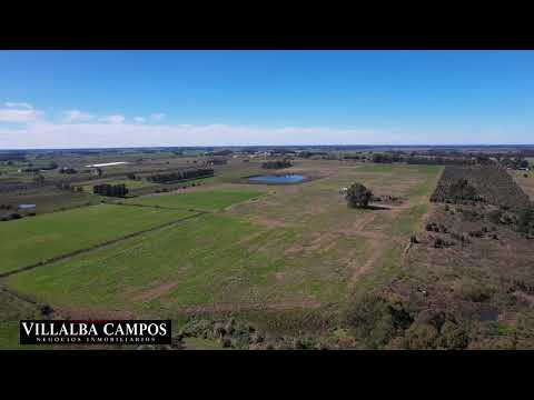 CAMPO EN VENTA – SAUCE, CANELONES 25 HECTÁREAS 🇺🇾 
