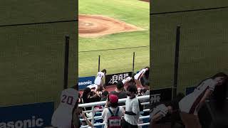 【Rakuten Girls】#KAHO #菲菲 #Mika #慧慧 @桃園棒球場 20241026 #台湾チア #cheerleading #cheerdance #rakutengirls