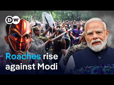 Cockroach revolution turns on India's leader | DW News
