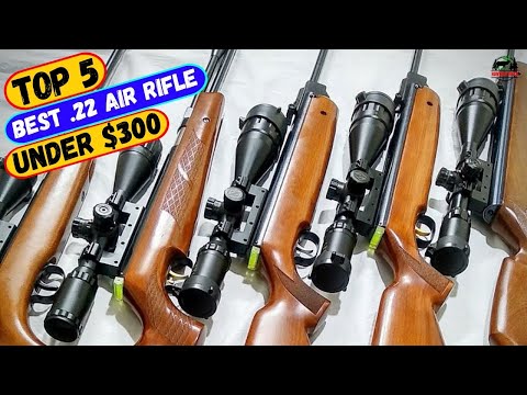 Best .22 Air Rifle Under $300 You Can Buy Today