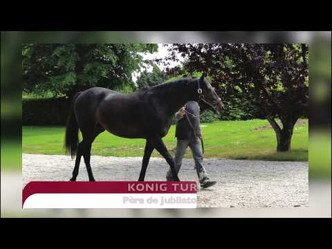 4 - Konig Turf - Big Shuffle / Kaiserin - Haras du Chêne Vert