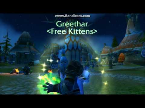 my contribution to raiding thunder bluff