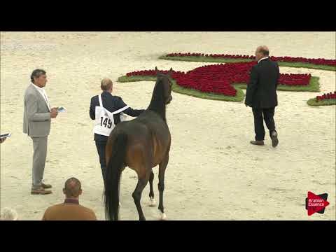 N.149 EXPRESSJA TV - Sharjah International 2019