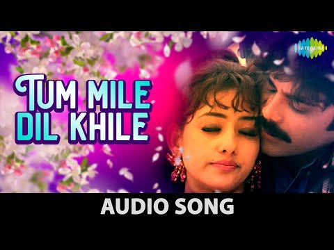 Tu Mile Dil Khile | Kumar Sanu | Alka Yagnik | Criminal | Nagarjuna | Manisha Koirala | Audio Song Tu Mile Dil Khile | Kumar Sanu | Alka Yagnik | Criminal | Nagarjuna | Manisha Koirala | Audio Song