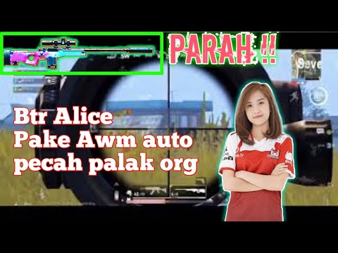 BTR Full Squad ,BTR Alice pake AWM Auto winner chicken dinner .PUBG MOBILE