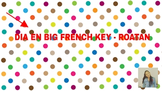 Vlog 1. EN BIG FRENCH KEY ROATAN