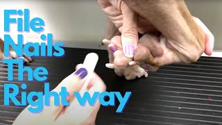 Fee fi fo FILE! How to file your dogs nails at home.