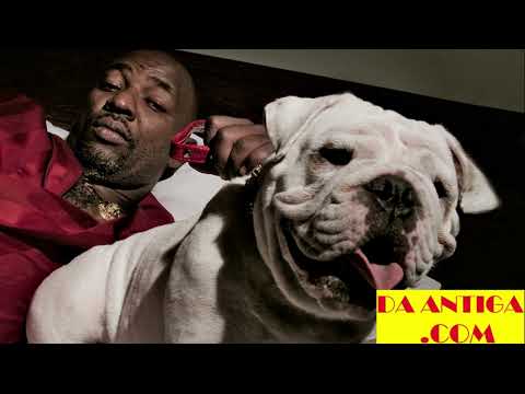 SHOW MR CATRA E DUDA DO BOREL NO MONALISA DE XERÉM