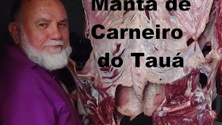preview picture of video 'Manta de Carneiro do Tauá'