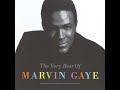 MARVIN GAYE ~ FALLING IN LOVE AGAIN  1978