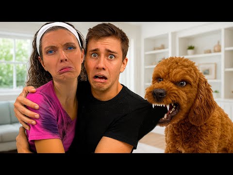MY DOG HATES my CRUSH?!