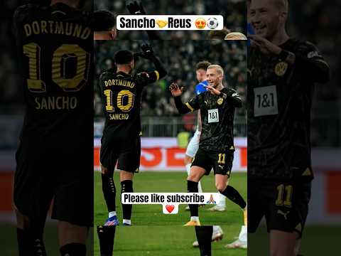 Jadon Sancho Debüt & Marco Reus Goal & SV Darmstadt gegen Dortmund 0-3 & Bundesliga Highlights