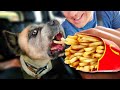 Letting The Person in FRONT of Me Decide What We Eat! (Bosco the homeless dog ADOPTED!)