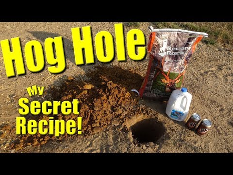 The Best Hog Attractant | Root Beer Corn Float!  DIY