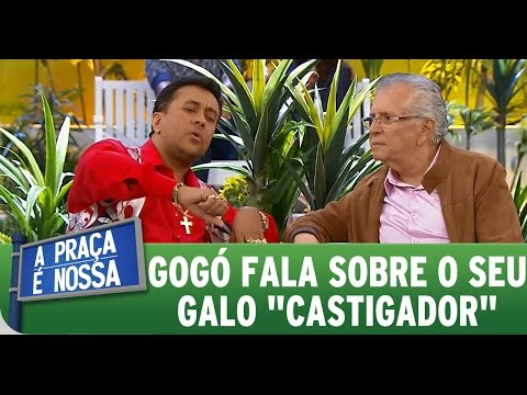 A Praça É Nossa (22/10/15) - Paulinho Gogó fala sobre o seu galo "castigador"