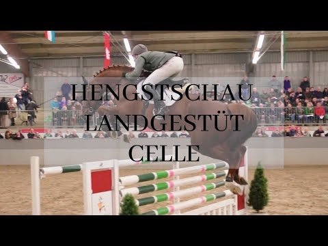 Hengstvorführung Landgestüt Celle - Luhmühlen 2019