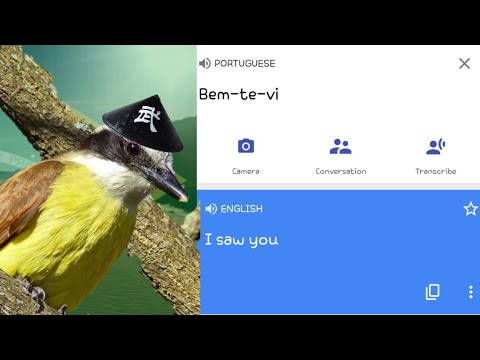 🐦 Bem-te-vi in different languages meme (brazilian bird)