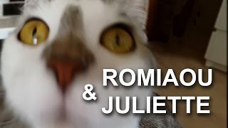 069 ROMIAOU & JULIETTE