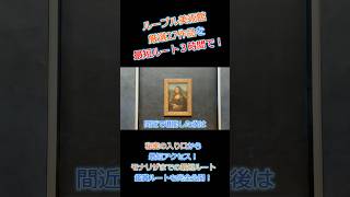 ルーブル美術館を堪能‼️モナリザを含む厳選27作品を3時間で最短ルートでご案内🇫🇷 #shorts #ルーブル美術館 #モナリザ #パリ旅行 #フランス旅行