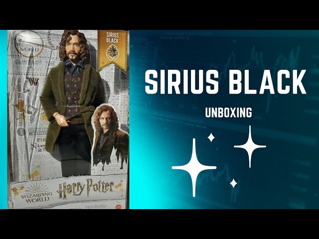 Vídeo relacionado con Harry Potter Muñeco Sirius Black de la colección de Harry Potter (Mattel HCJ34)