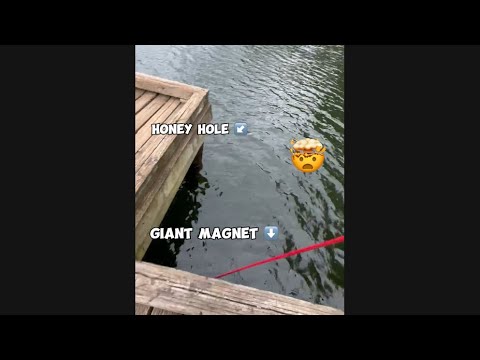 CRAZY HONEYHOLE UNDER THIS DOCK!!! 🤯 (magnet fishing) #magnetfishing