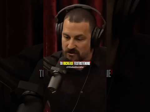 Natural Supplements To Increase Testosterone | Andrew Huberman