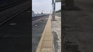 #歌ってみた 3029#emu900 #微笑號 微笑快速 @SakuraMiko @AZKi #區間快車