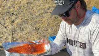 LIVE Salmon Fishing On The Columbia River