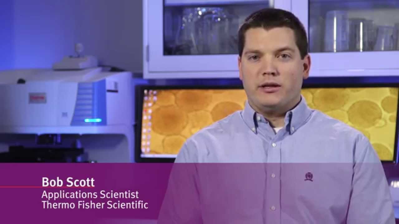 Growing Spheroid Cultures for Cancer and Stem Cell Research