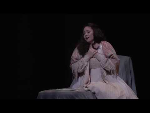 SY - Elle a fui, la tourterelle 15.11.2016