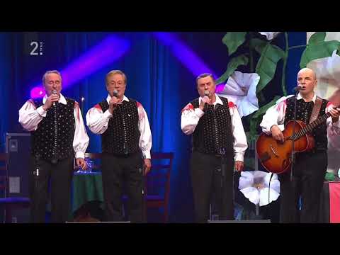 Fantje s praprotna in Andrej Svetlin - Lahko noč zlatolaska