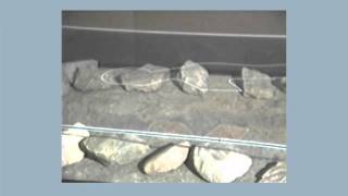 George Hendrik Breitner: Meisje in kimono