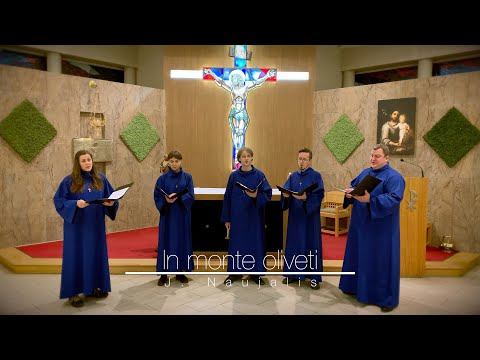 Juozas Naujalis In monte Oliveti